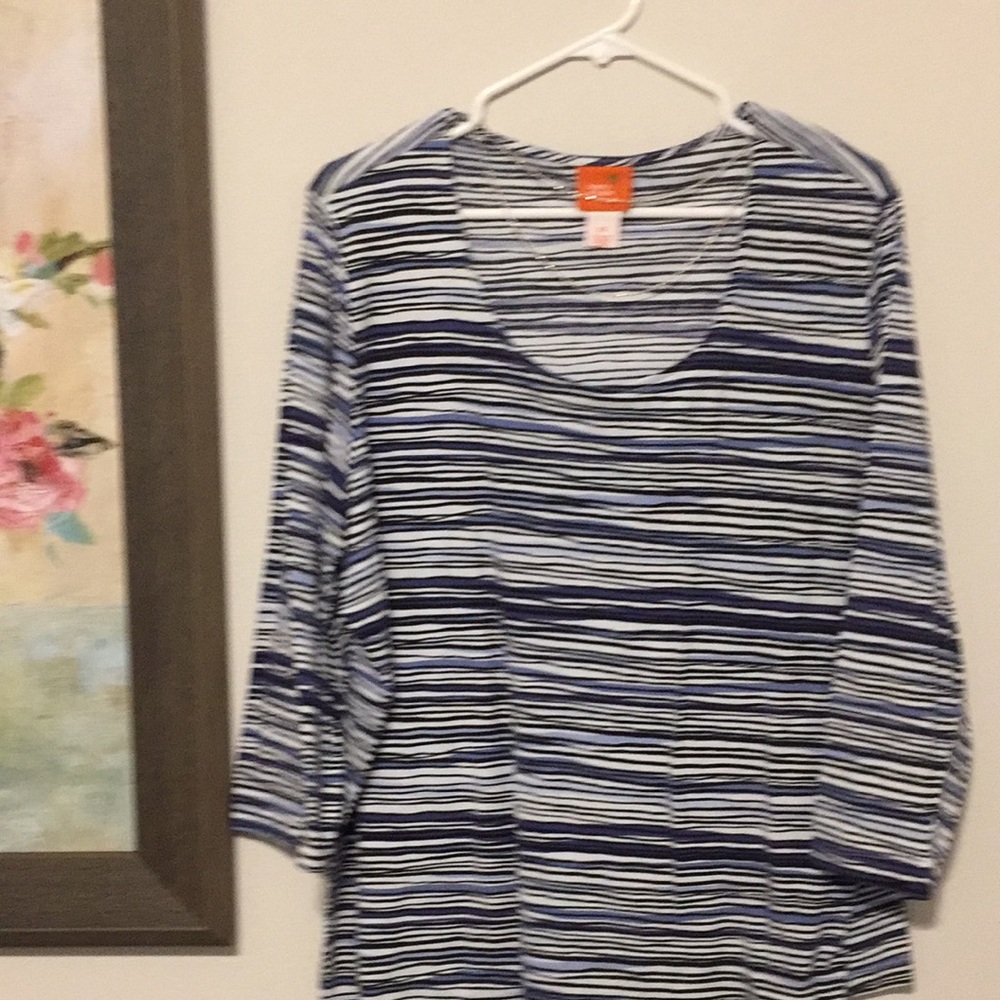 Very nice Hearts of Palm striped top, 2X
